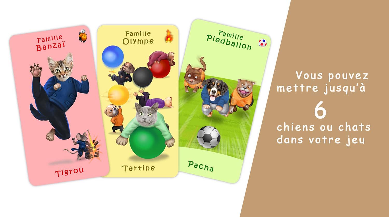 Jeu de 7 familles personnalisé Cartooneo